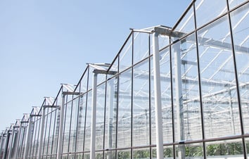 Greenhouse